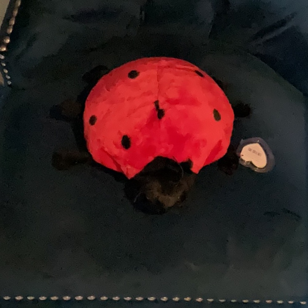 Lady bug Beenie baby